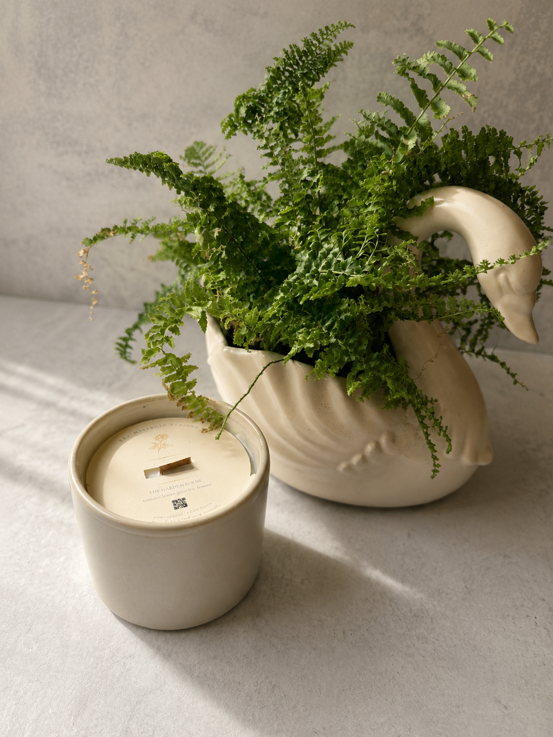 The Greenhouse 10oz | The Marigold Season