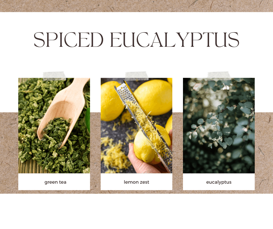Luxury Hand-Poured Soy Wax Candles | spiced eucalyptus - Poiemahomeco